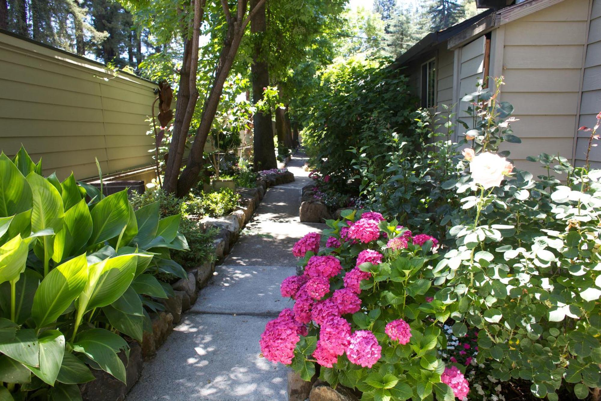 Cottages On River Road Guerneville Exterior foto